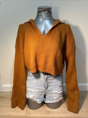 Forever 21 Cropped V-Neck Sweater in Rust Orange with hood